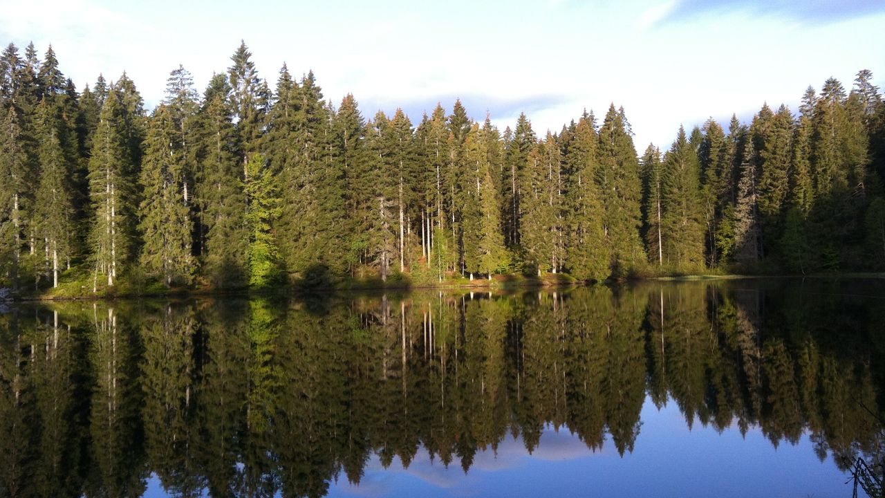 Der Hirschleweiher Der Hirschleweiher